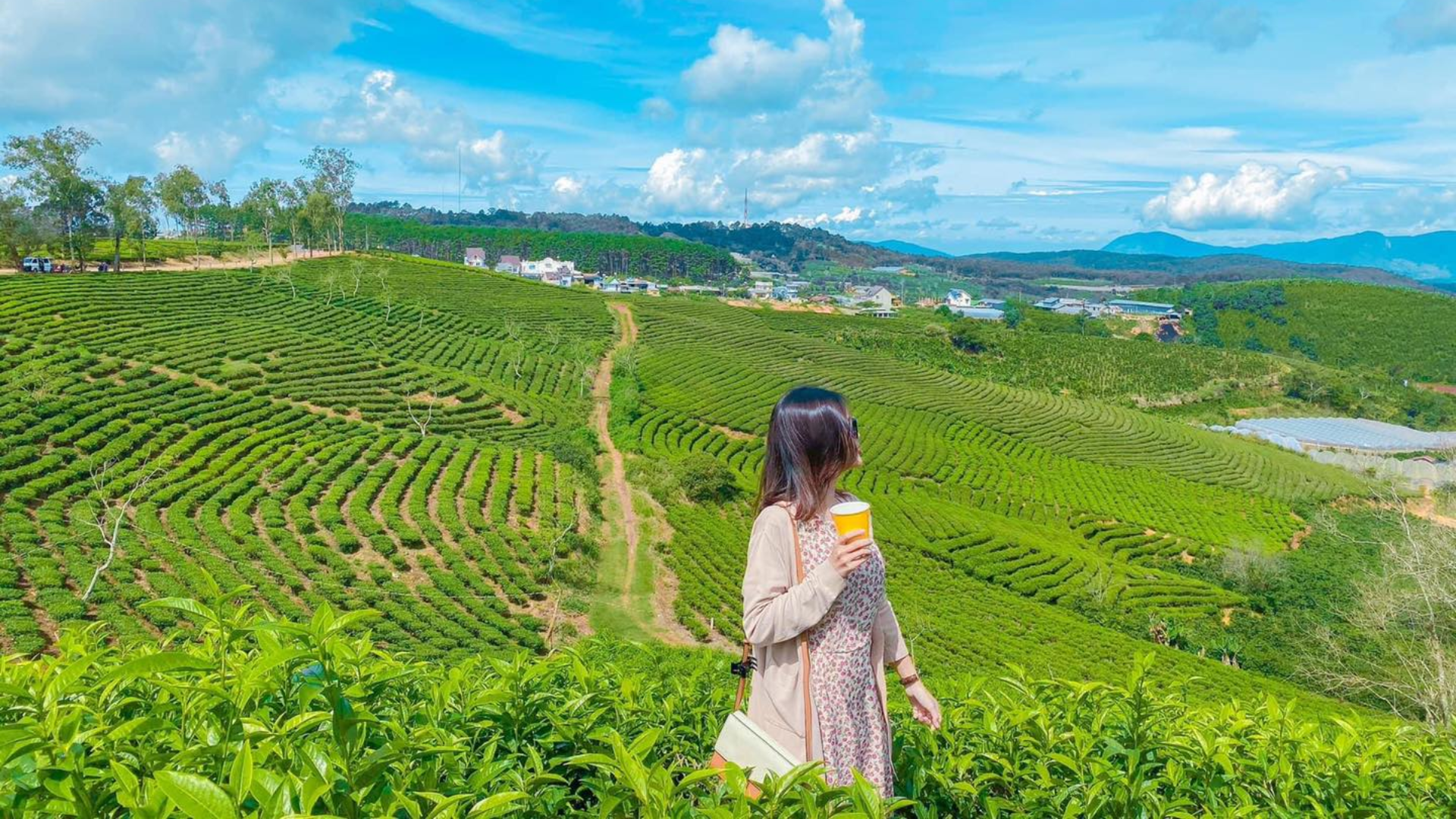 Cồn Sơn